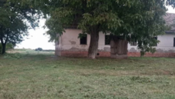 Lepi Mića