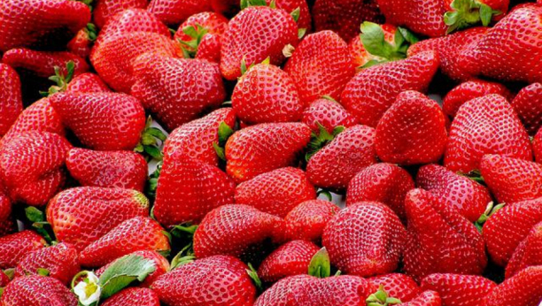 Jagode